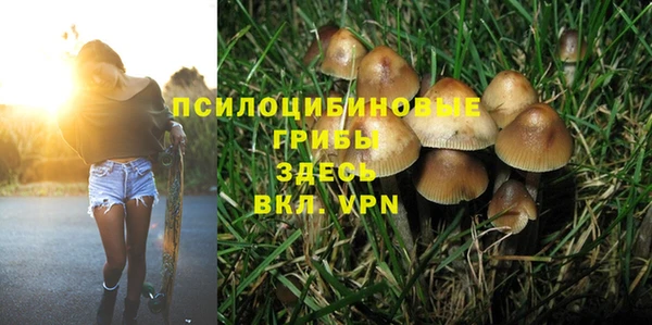 2c-b Алексеевка