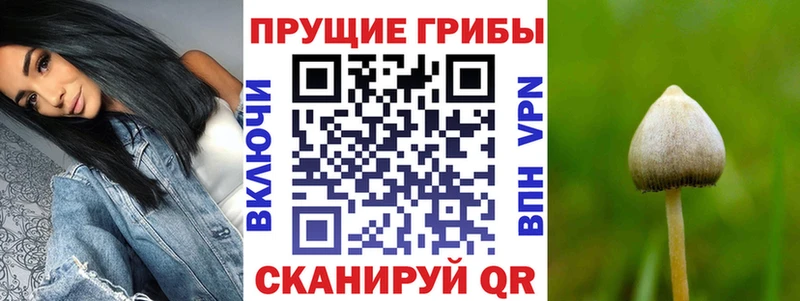Галлюциногенные грибы MAGIC MUSHROOMS  Шумиха 